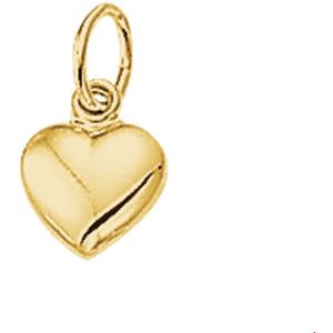 hanger hart 14K geelgoud 4018468