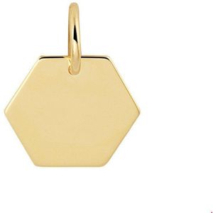 Geelgouden Graveerhanger zeshoek 4021113