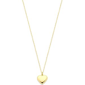 14K geelgoud collier hartje 42 - 45 cm 4032368