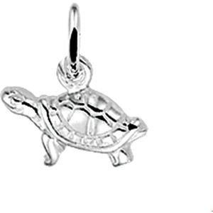 Zilveren Hanger schildpad 1003898