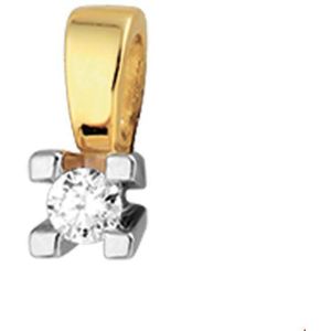 Bicolor Gouden Hanger diamant 0.10ct H SI 4205237