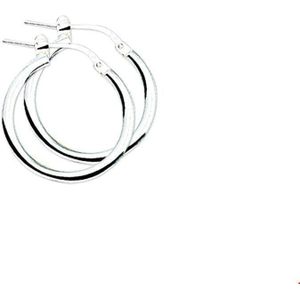 oorringen 2,5 mm ronde buis zilver wit 1007196