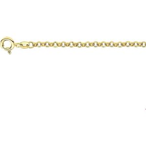 Geelgouden Armband jasseron 2 4012507 15 cm