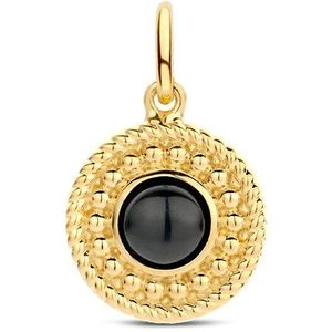 Zilver Verguld Hanger onyx 2101757