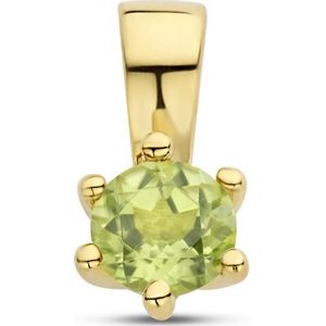 hanger met geboortesteen zilver verguld (geel) 2102825