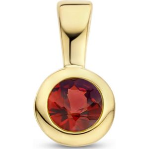 hanger met geboortesteen zilver verguld (geel) 2102845