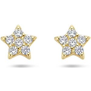 oorknoppen zirkonia ster 14K geelgoud 4027981
