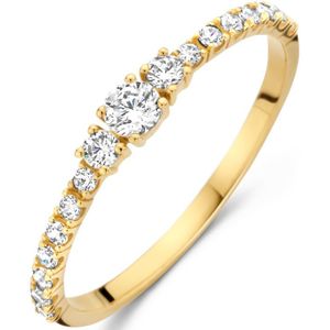 goud (geelgoud) ring zirkonia 4024625 17-52 is maat 16.50