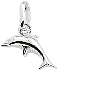 Zilveren Hanger dolfijn 1003490