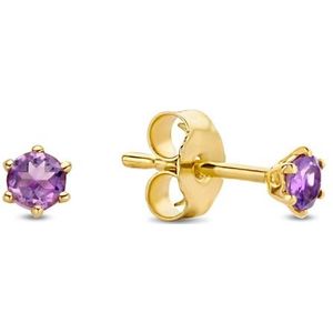 Jackie Gold - Amethyst Studs JKE20.006 - Oorbellen