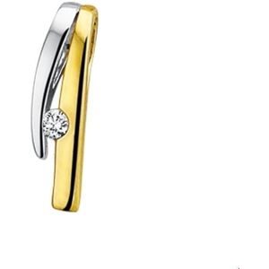 Bicolor Gouden Hanger diamant 0.035ct H SI 4206388