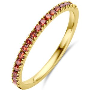 14K geelgoud ring met geboortesteen granaat januari 4028551 17.50