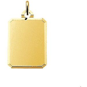 graveerhanger gediamanteerd 14K geelgoud 4008690