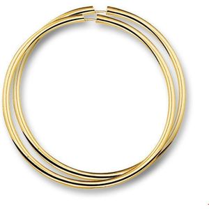 Huiscollectie - 4001289 - Gouden Oorring - 25 mm - Rond