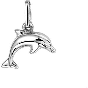 Zilver Gerhodineerde Hanger dolfijn 1320692