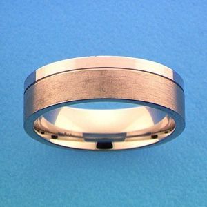 Zilver Gerhodineerde Ring A306 - 5 mm - zonder steen 1315726 17.00 mm (53)