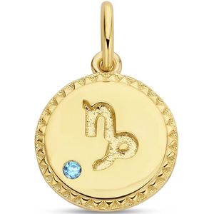 hanger sterrenbeeld zirkonia zilver verguld (geel) 2102524