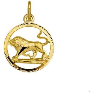 hanger sterrenbeeld gediamanteerd 14K geelgoud 4005623
