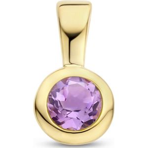 hanger met geboortesteen zilver verguld (geel) 2102836