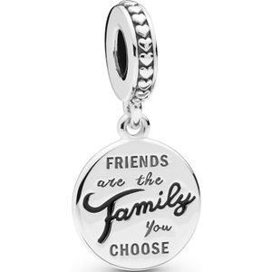 Pandora 798124EN16 Moments - Friends Are Family - Hangende Bedel