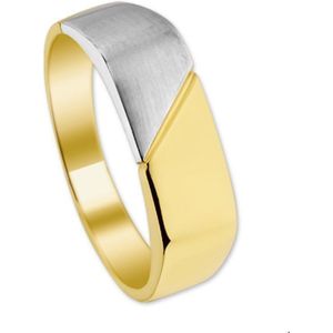 Bicolor Gouden Ring poli/mat 4205290 21.00 mm (66)