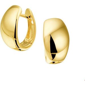 klapoorringen 14K geelgoud 4019055