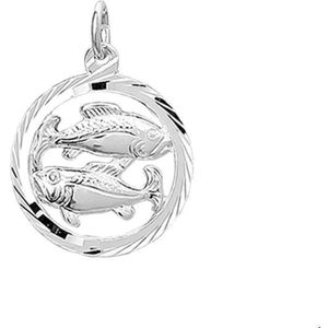 Zilveren Hanger sterrenbeeld vissen gediamanteerd 1002790