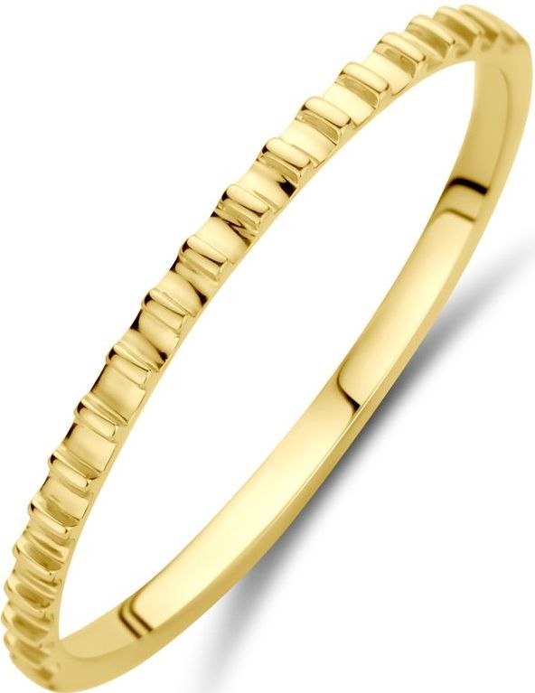 14K geelgoud ring 4033350 17.25