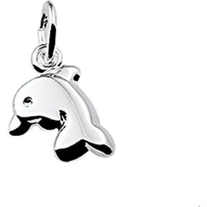 Zilveren Hanger dolfijn 1004217