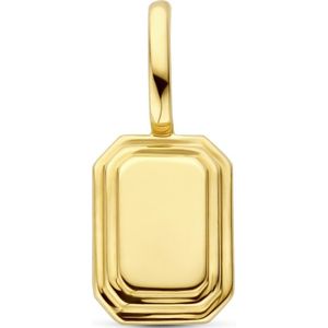 14K geelgoud graveerhanger 8 mm 4032961