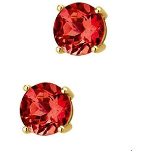 oorknoppen granaat 14K geelgoud 4010294