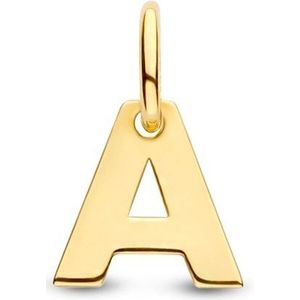 hanger letter 14K geelgoud 4023452