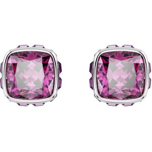 Swarovski oorstekers birthstone februari 5660797