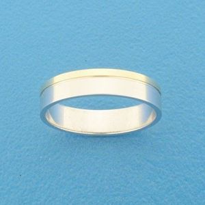 Goud met Zilveren Ring AL752 - 4 mm - zonder steen 5600145 20.25 mm (64)