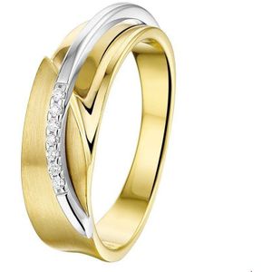 Bicolor Gouden Ring diamant 0.035ct H SI poli/mat 4207593 19.00 mm (60)