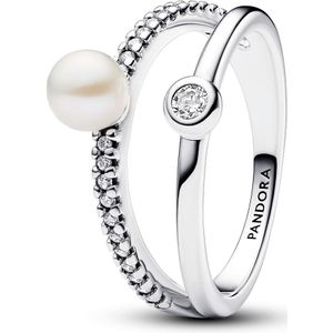 Pandora 193147C01 - Timeless Double Band - Silver - Ring-52 is maat 16.5