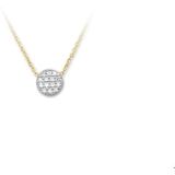 Bicolor Gouden Collier diamant 0.07ct H SI 40 + 2 cm 4206331