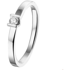 Witgoud Palladium Ring diamant 0.075 ct. 4600006 16.50 mm (52)