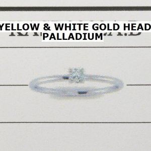 Bicolor Gouden Ring diamant 0.10ct H SI 4208626 17.50 mm (55)