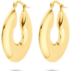 zilver verguld (geel) oorringen 30,5 mm 1 micron 2103892