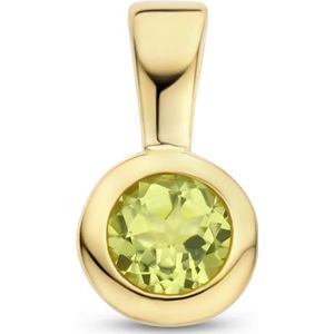 hanger met geboortesteen zilver verguld (geel) 2102849