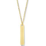 goud (geelgoud) graveercollier plaat 4,0 mm 42 - 45 cm 4024806