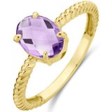 14K geelgoud ring amethist 4028634 17.25