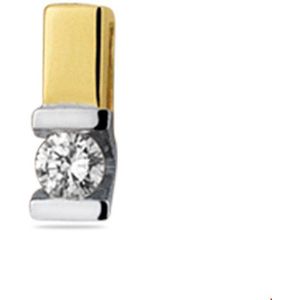 Bicolor Gouden Hanger diamant 0.05ct H SI 4208017
