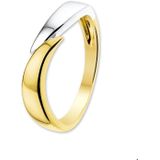 Bicolor Gouden Ring 4205407 17.50 mm (55)