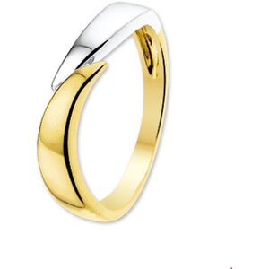 Bicolor Gouden Ring 4205407 17.50 mm (55)