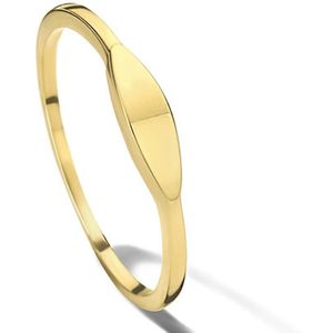 graveerring 14K geelgoud 4023227
