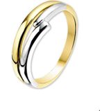 Bicolor Gouden Ring 4205523 17.00 mm (53)
