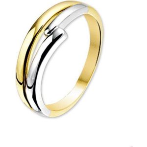 Bicolor Gouden Ring 4205523 17.00 mm (53)