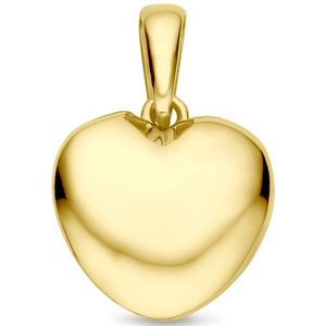 14K geelgoud hanger hartje 16 mm 4031677